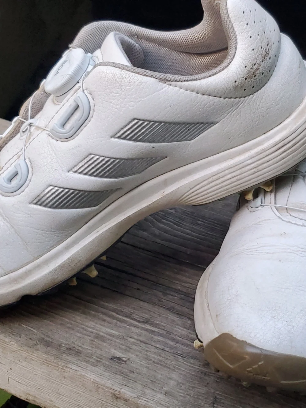 adidas White and Black Men's Golf  Cleats with Boa Closure